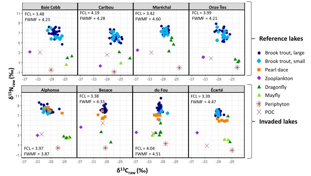 Effects of non‐native fish on lacustrine food web structure and mercury biomagnification along a dissolved organic carbon&nbsp;gradient
