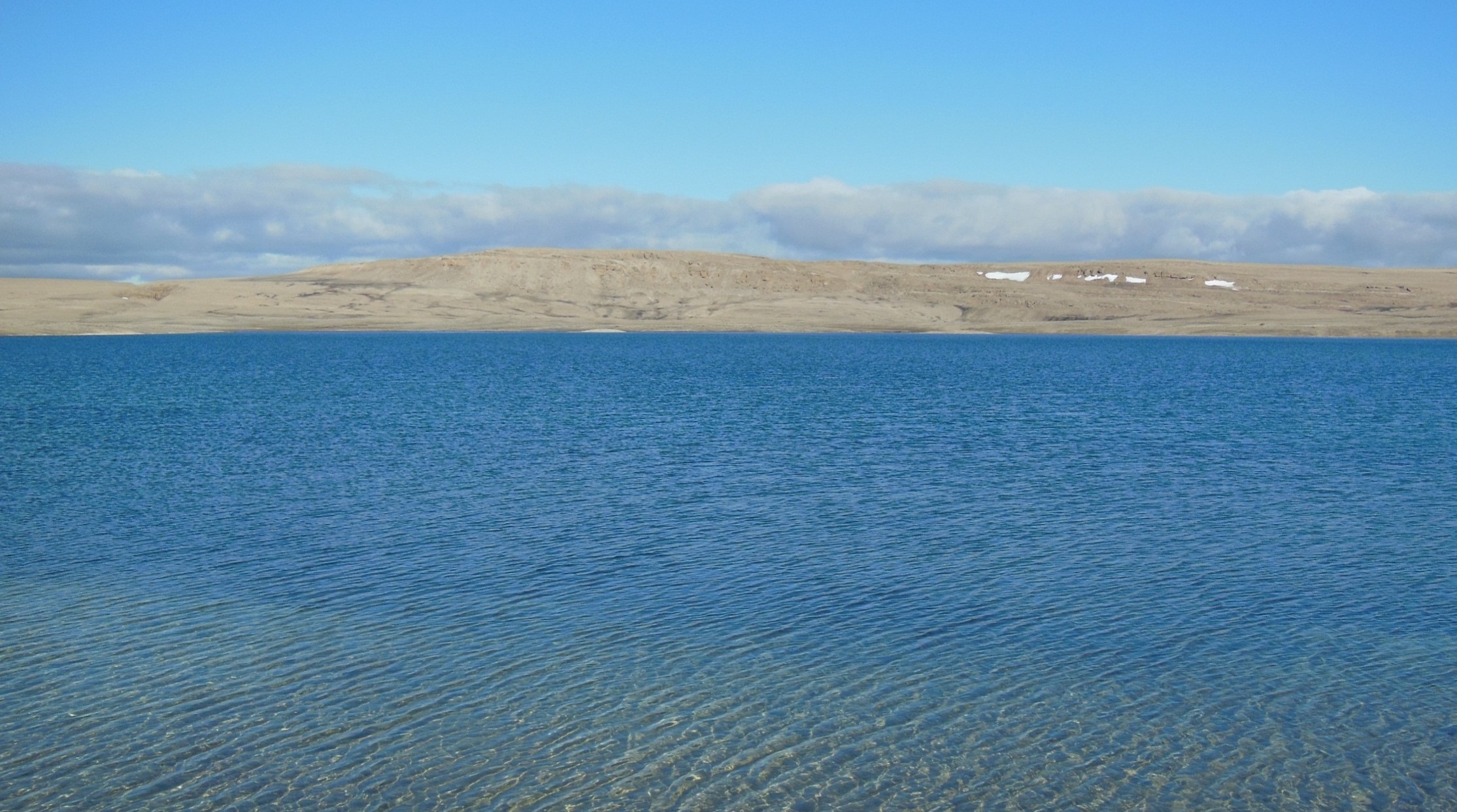 Mercury methylation and demethylation potentials in lake sediments in a warming Arctic