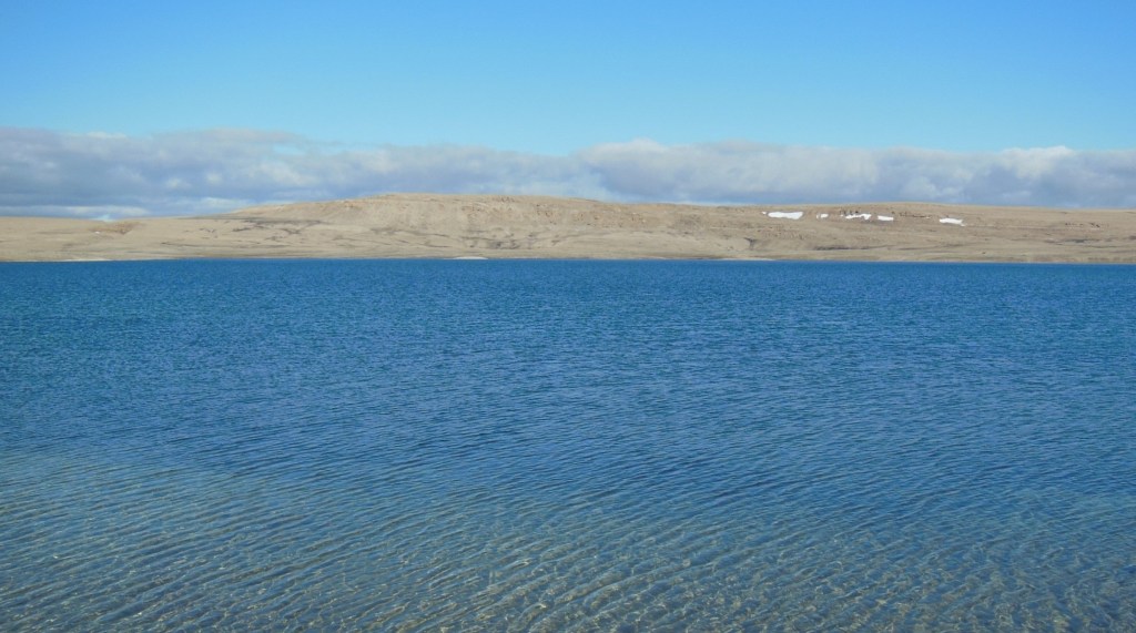 Mercury methylation and demethylation potentials in lake sediments in a warming&nbsp;Arctic