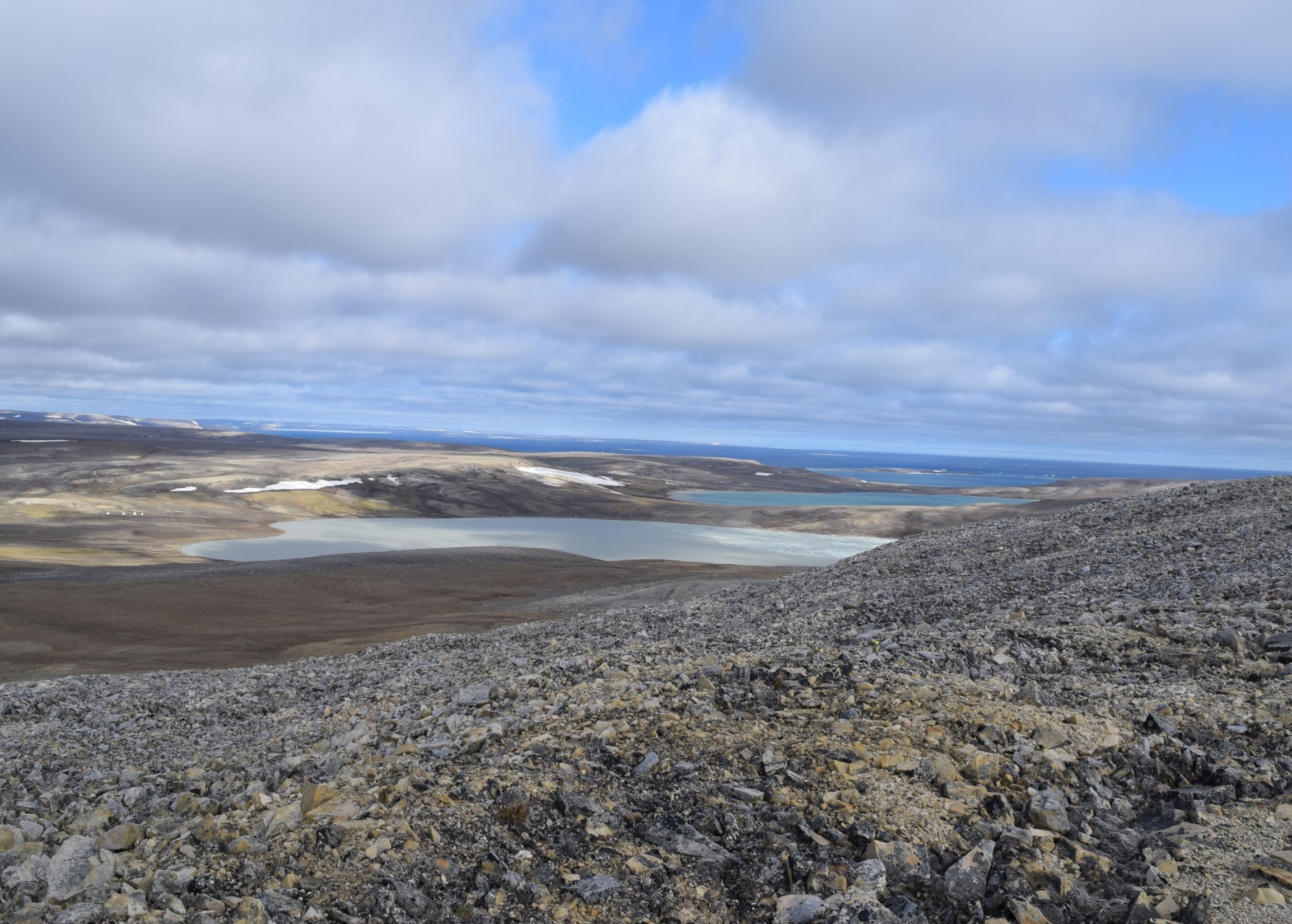 Effects of climate change and remotely sourced contaminants on char health and metal burdens: a machine-learning approach