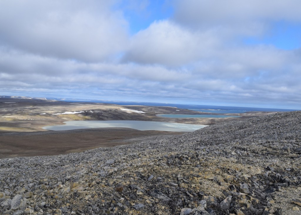 Effects of climate change and remotely sourced contaminants on char health and metal burdens: a machine-learning approach